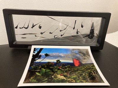 Hand Picked PELE'S TEARS The Volcano Hawaii -Recent Eruption Rain,4''x9'' Display