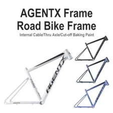 700C Racetrack Rode Bike Frame Internal Routing Mountain Bike 142x12mm Thru Axle