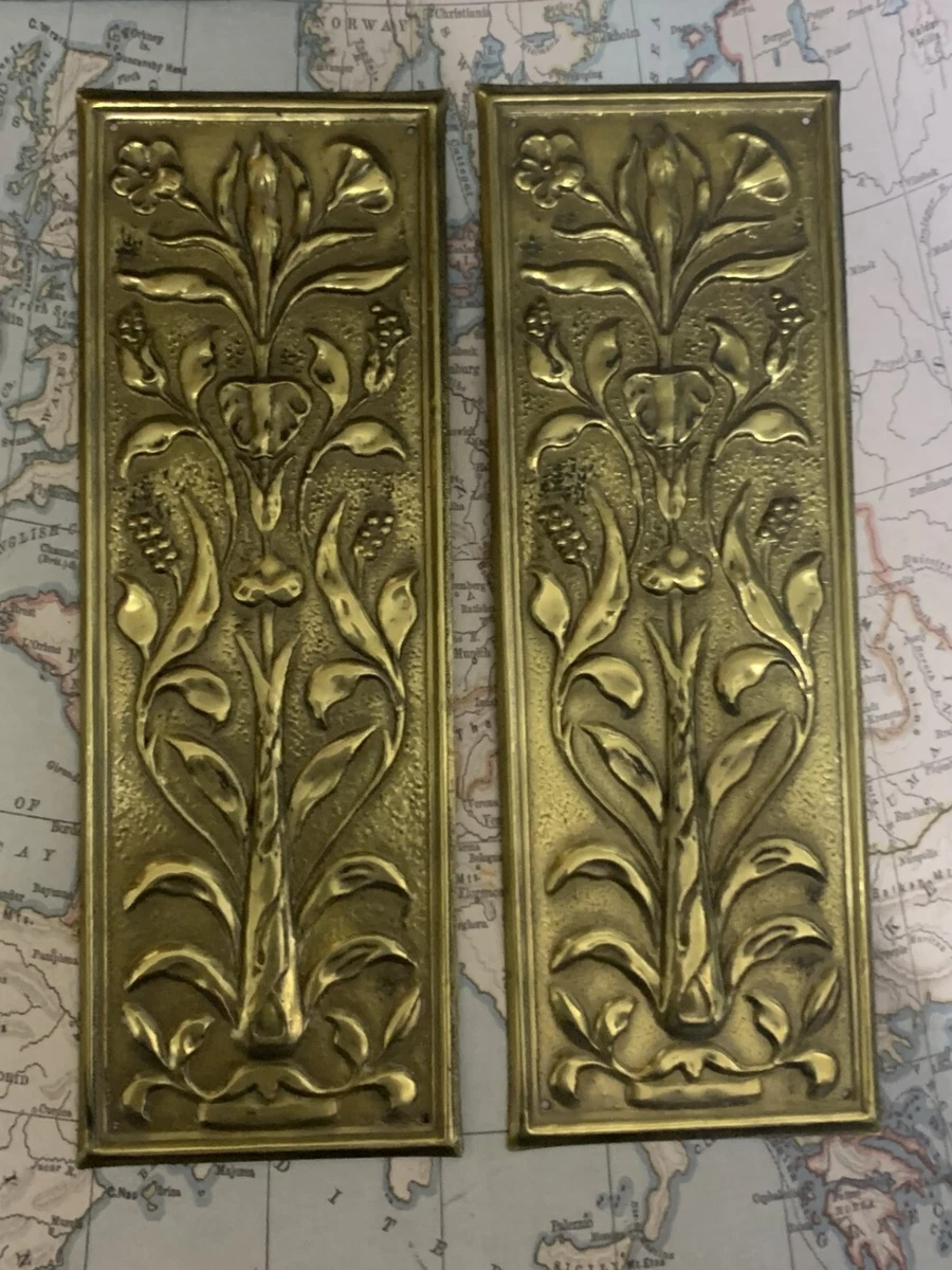 Door 2024 finger plates