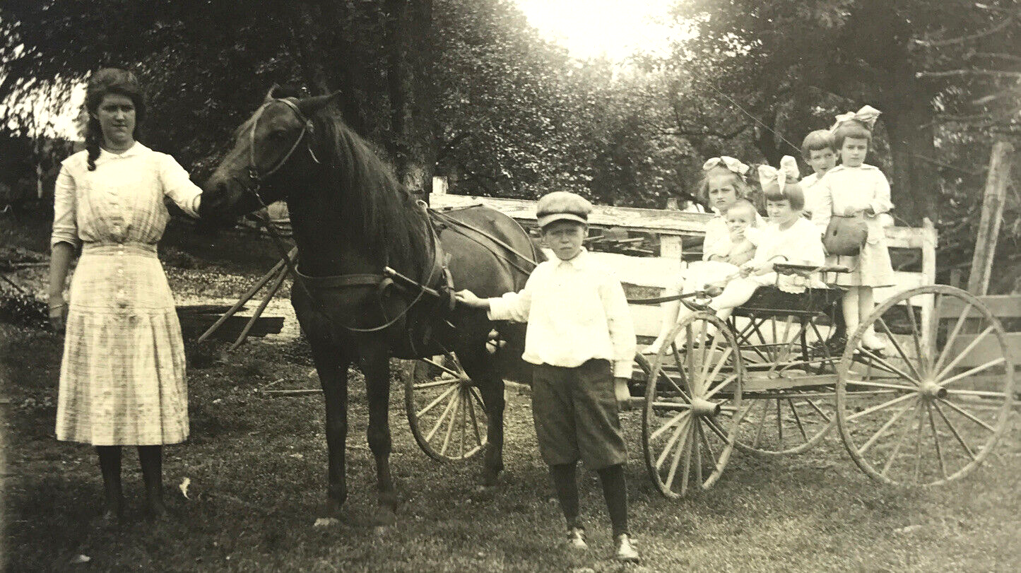 RPPC Cavallo Pony Buggy Cart Giovane Donna Bambini Ragazzi Ragazze Capelli Grandi Fiocchi Cappello #67