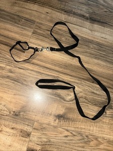 Dog Or Cat Collar And Leash