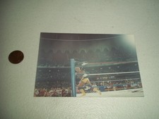 1991 WRESTLEFEST HULK HOGAN IN RING LIVE PHOTO WWE WWF