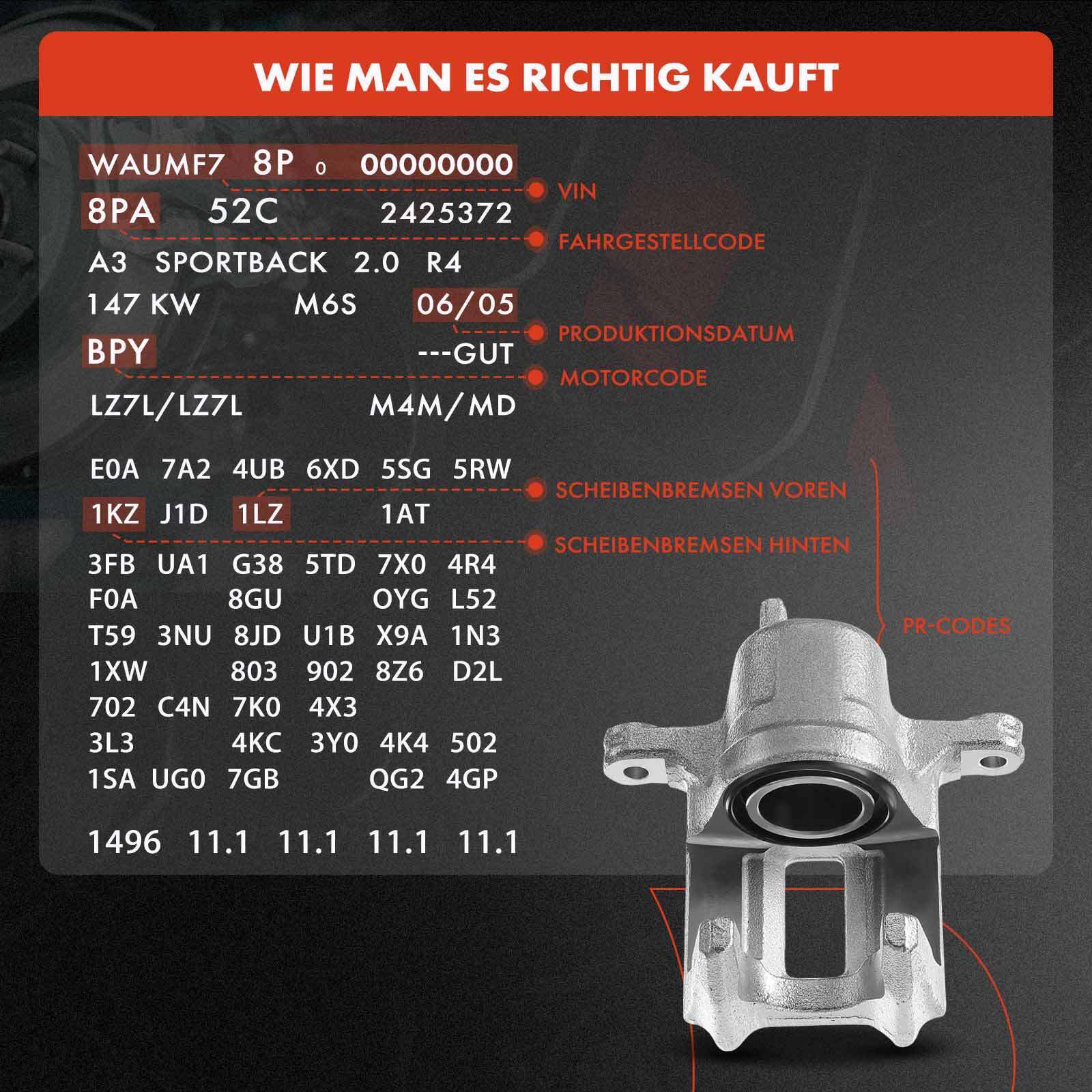 Bild 8 von 8