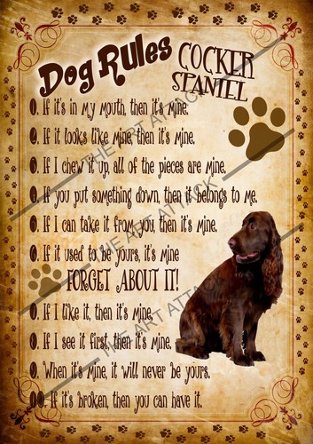 Dog rules design metal wall signs mancave/kitchen/bathroom/bedroom - Picture 42 of 60