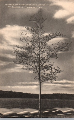 #ad Vintage Unused Postcard Figures of Lace over the Water at Tamiment Pennsylvania $1.12