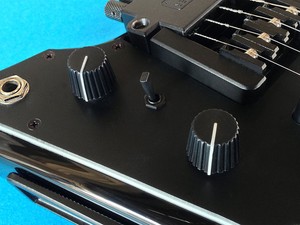 steinberger hard case