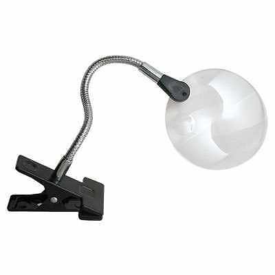 magnifier
