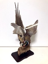 farce, animaux, vrai oiseau faisan commun (Phasianus colchicus) taxidermie
