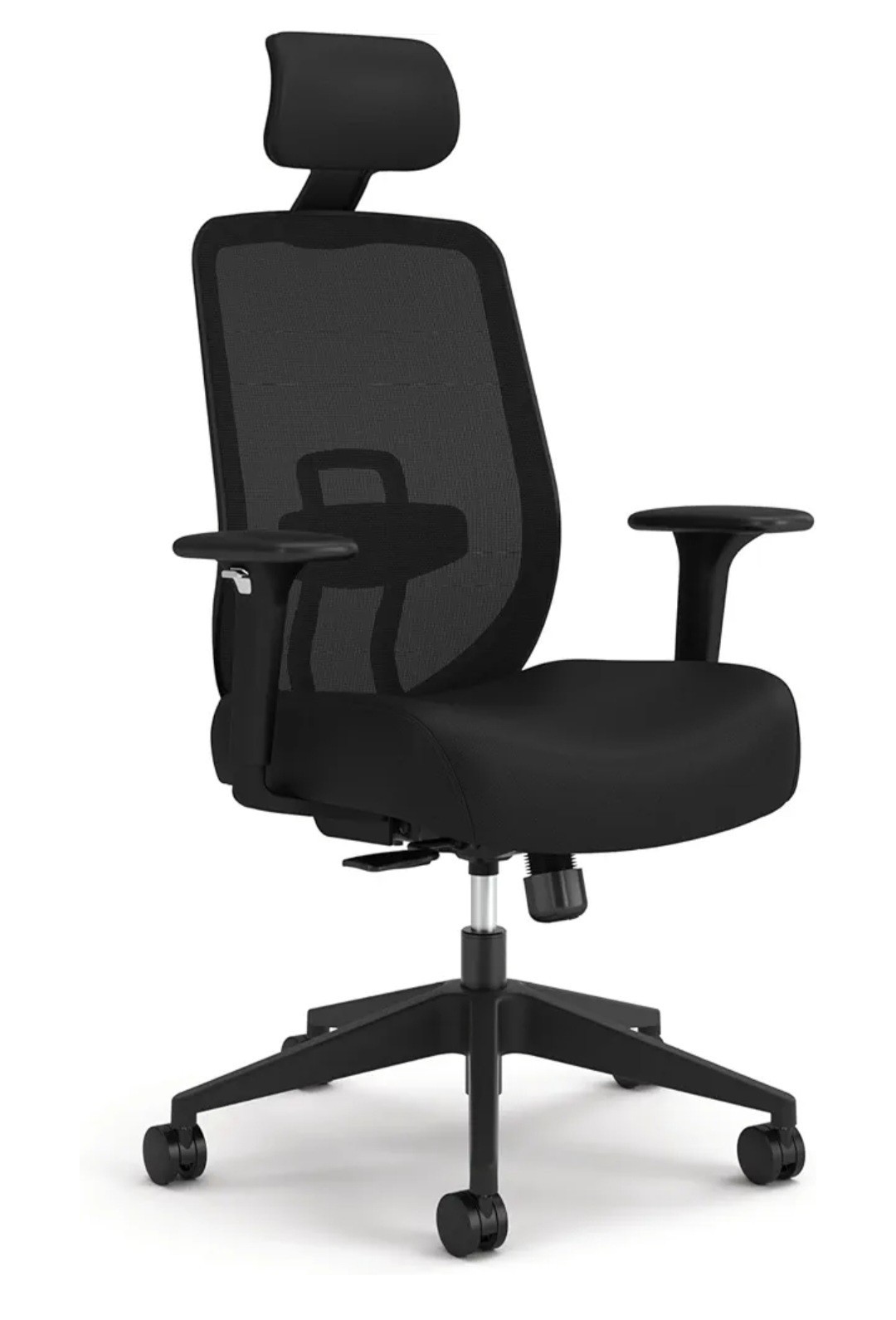 Hptcc1-t1um.blk