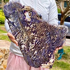 5.53LB Zebra Marble End Plate Cabbing Lapidary Carved Spiritual Chakra Utah