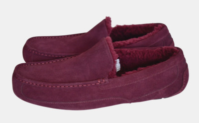 New UGG Burgundy SUEDE UGGPLUSH Men's Slipper Loafer US-17 EU-51 UK-16 JAPAN-35