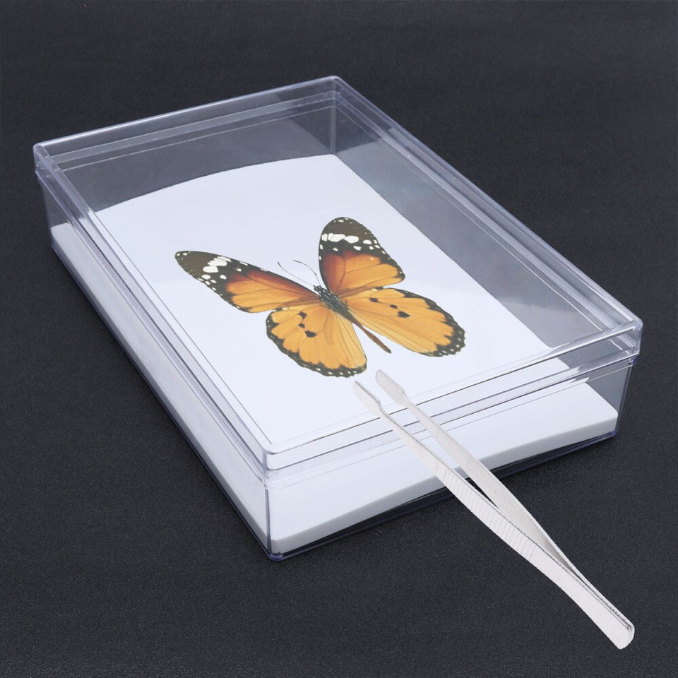 Insect Tweezers Small Rabbit Cage Clips Specimen Making Stickers Horror