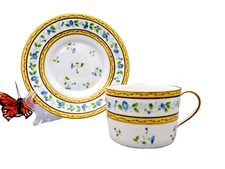 A. Raynaud Ceralene Cup & Saucer Morning Glory Set Limoges France