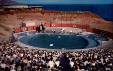 California Marineland of Pacific Sea Arena aerial view ~ postcard sku143