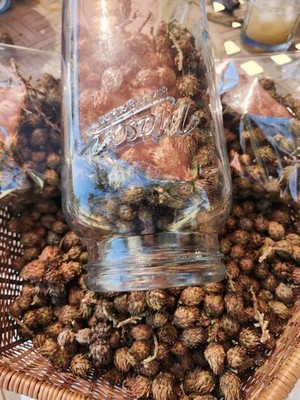 Mini, Tiny juniper  Pinecones Potpourri,  Crafts, Small Tree Trim,  Package Trim