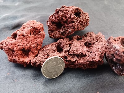 Cherry Shrimp Rock Caves Tunnels Freshwater Amano Nano Aquarium Fry Fish