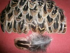 100 Hen Pheasant Shoulder Feathers 2" - 3.5" - Crafting feathers