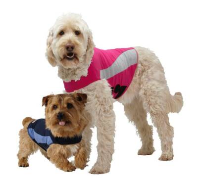 petstock thundershirt