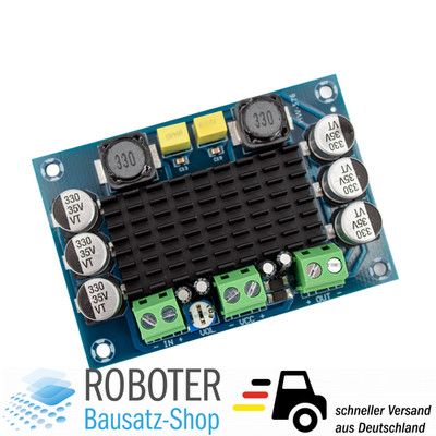 TPA3116D2 Mono Audio Verstärker Modul 100W Class D DC 12 26V Arduino Raspberry