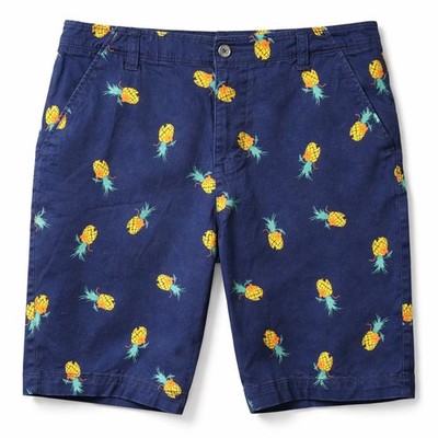 PLUGG FLEX All-Over Pineapple Print Chino Short Sz 32 Blue Summer Fruit Tropical
