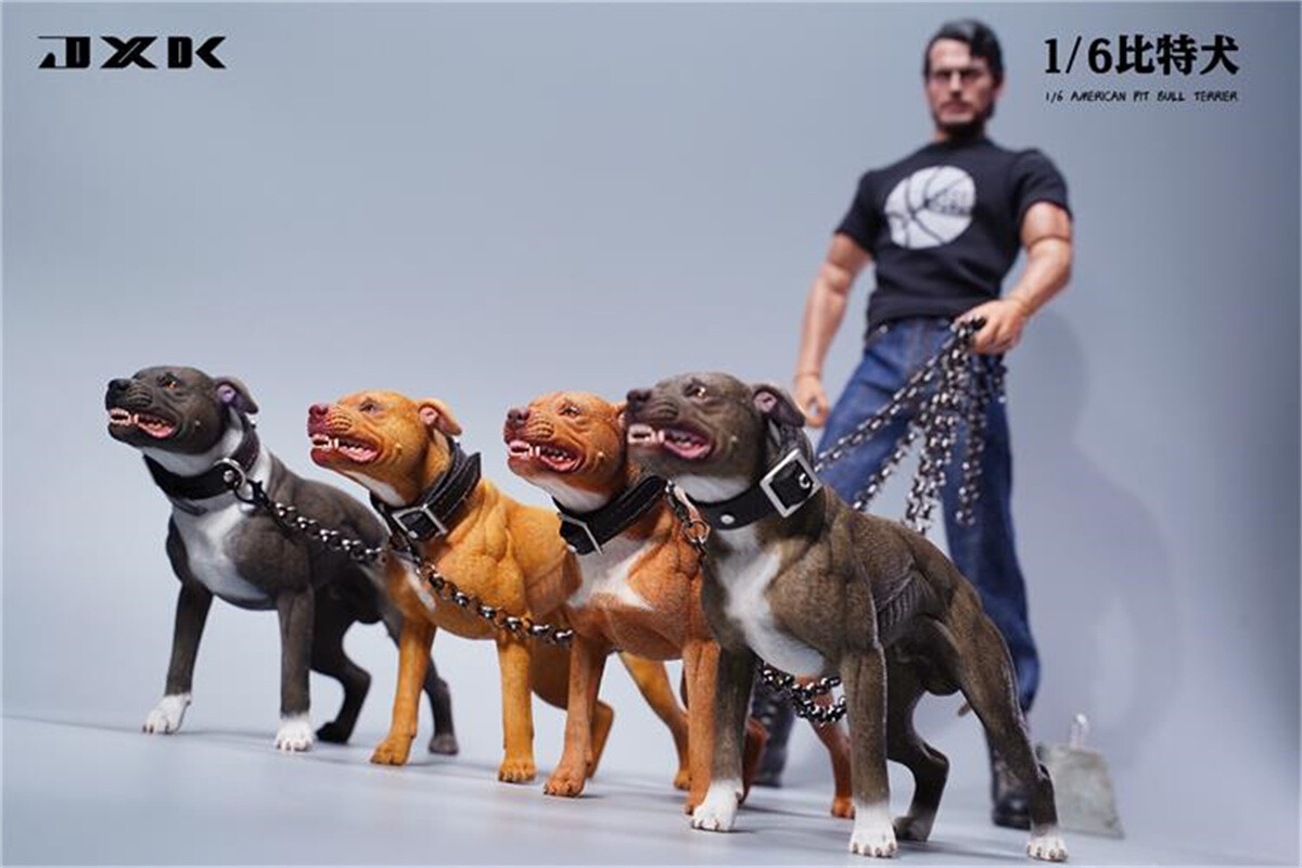 JXK JXK129 1/6 American Pit Bull Terrier Model Animal Figure Pet