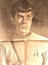 Vintage 60's Mr Spock Star Trek Nimoy Chicago's American Newspaper Poster Parade