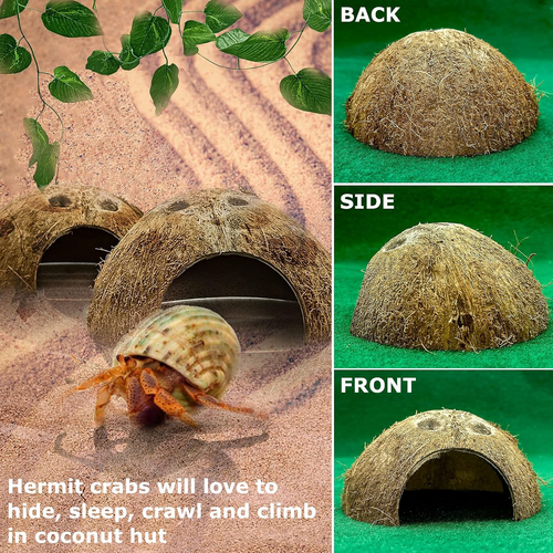 Reptile Hideouts Natural Coconut Shells Hut Hermit Crab Climbing Toys Gecko Hide - Picture 4 of 12