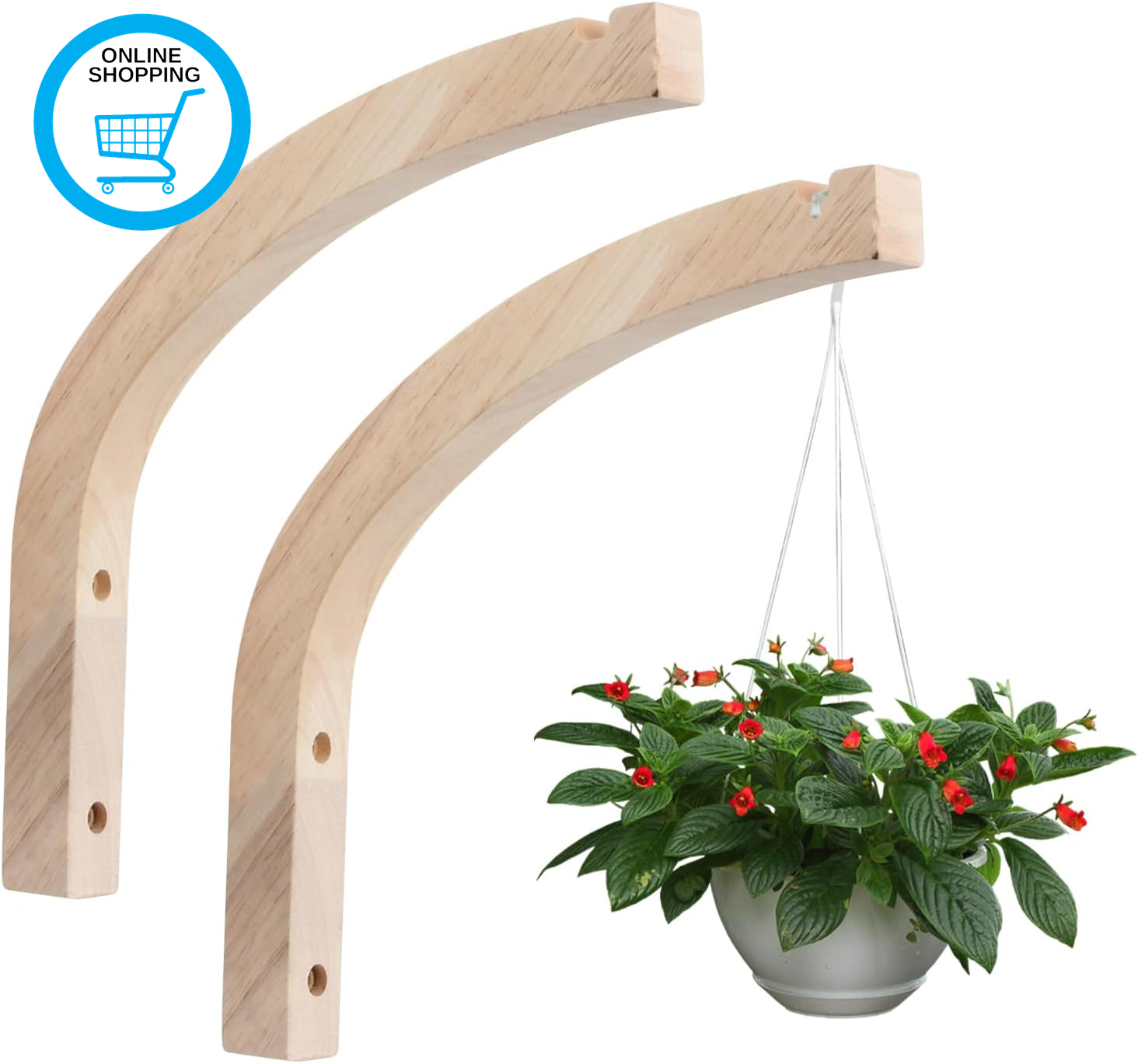 Wooden Hanging Plant Hooks, Pack of 2 Wall Mounted Hooks for Indoor Plants and F