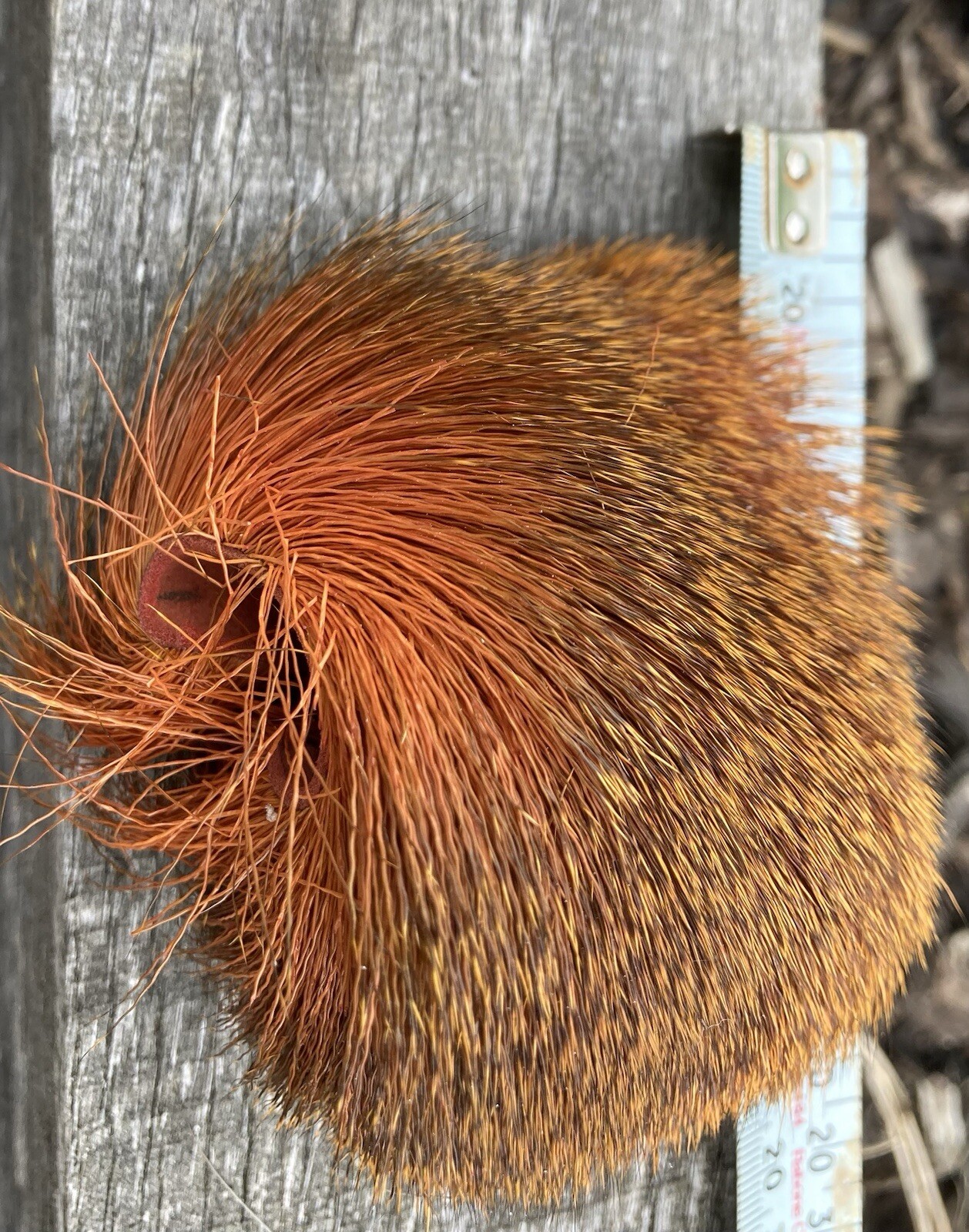 flytying materials eBay