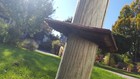 Bild 4 von 5