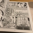 Picture 12 of 21