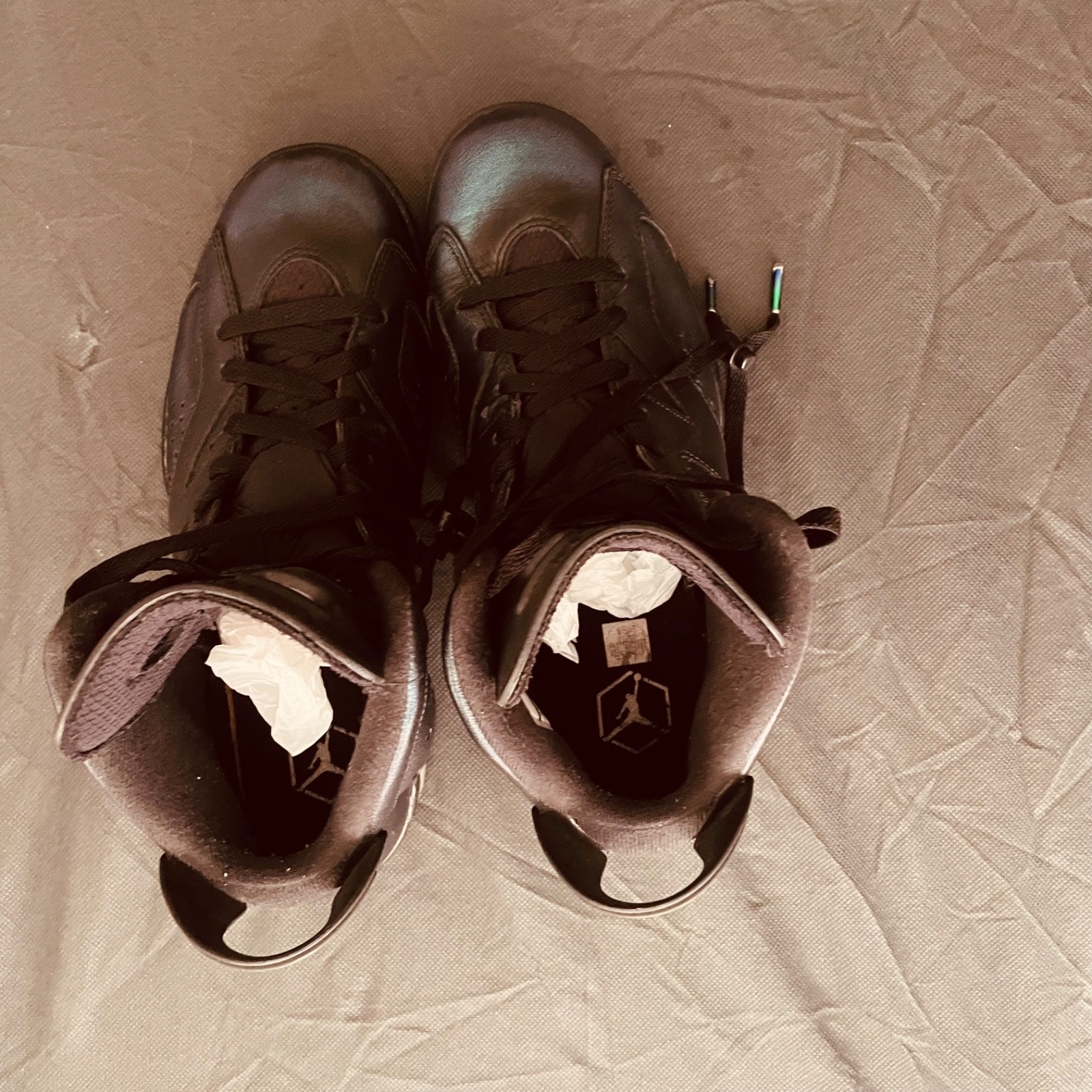 Nike air Jordan Retro 6 All Star Chameleon gotta shine, size 9.5. 