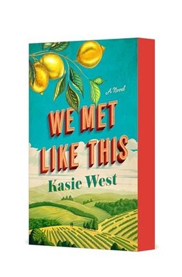 We Met Like This A Novel - GOOD