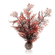 Oase biOrb Hornkoralle Klein Dunkelrot Dekoration