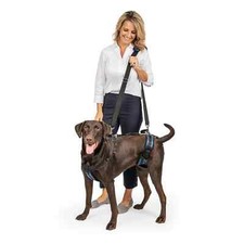 PetSafe CareLift Support Harness Full Body Lifting Aid with Handle - Large