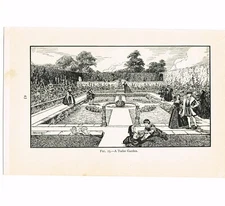 TUDOR GARDEN, BOOK ILLUSTRATION, c1919