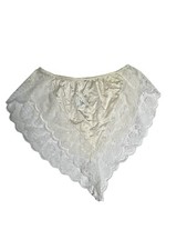Vtg NWT Maidenform Chantilly Lace Panties Sz 5 Nylon ILGWU Deadstock Union