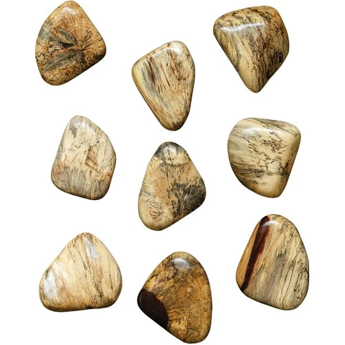 Uttermost 04324 Pebbles Natural Blonde Wood Wall Decor, Set of 9 - Picture 1 of 6