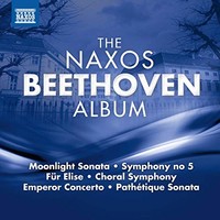 Ludwig Van Beethoven - Naxos Beethoven Album - Cd - G3Z