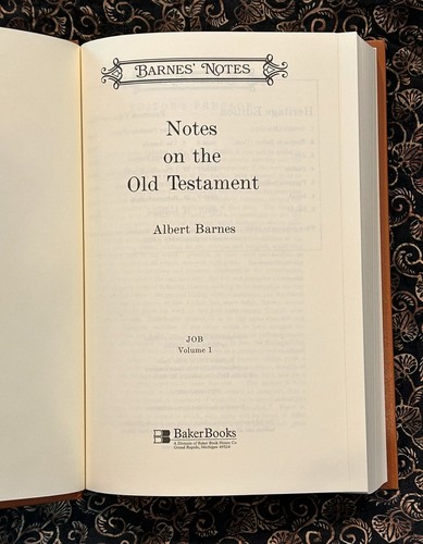 Barnes’ Notes: Job Hardcover Book - Picture 5 of 5