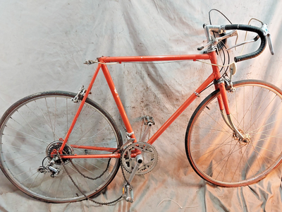 1974 Golden Sport Zebrakenko Fire Vintage Road Bike 59cm Large