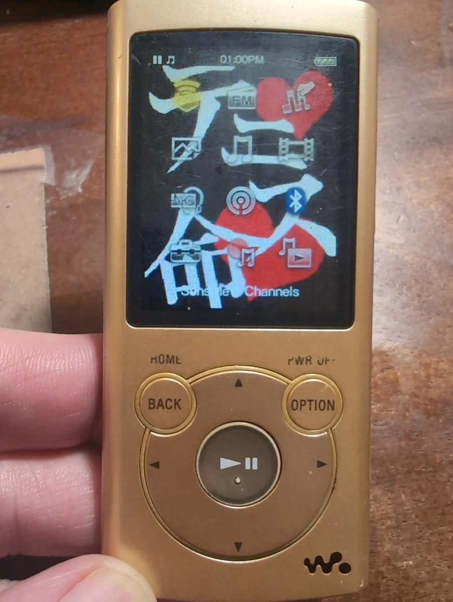 Sony Walkman S Series MP3 MP3 Playable Media Format Players for
