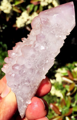 108g WOW! Natural Super Seven Skeletal Mace Amethyst Quartz Crystal Reiki ip1267