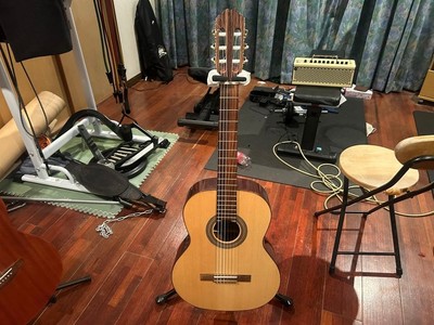 KREMONA SOLOIST F65S
