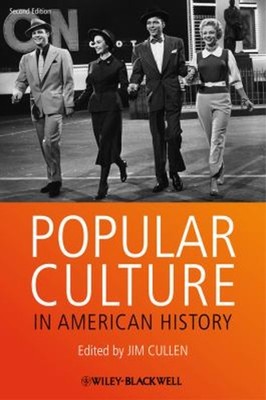 Popular Culture in American History Paperback