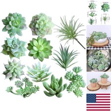Assorted Mini Faux Succulents - Perfect for Gifts and Unique Floral Arrangements