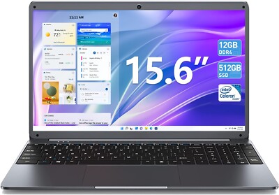 SGIN Laptop 15.6 Zoll 12GB DDR  RAM 512GB SSD Typ-C WiFi up to 2.9GHz Silber