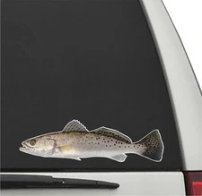 SPOTTED SEA TROUT Fish Vinyl Decal Car Truck Sticker Fishing Decal