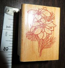 Poinsettia Wood Mounted Rubber Stamp Sonlight Christmas Flower Holiday GS672D