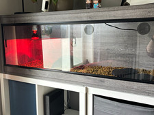 Wrigglies large grey vivarium. Complete set up ready to go. Minimal usage.